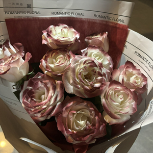 大姑娘日屄视频看一下
